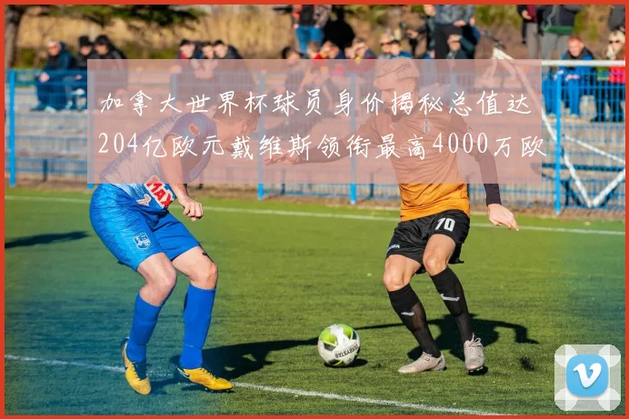 加拿大世界杯球员身价揭秘总值达204亿欧元戴维斯领衔最高4000万欧